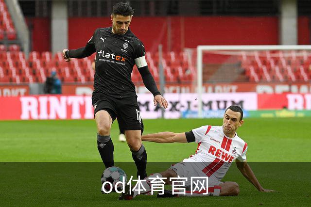 od体育官网公司简介